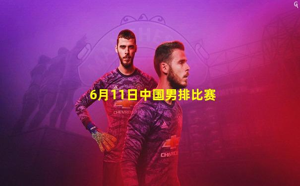 6月11日中国男排比赛