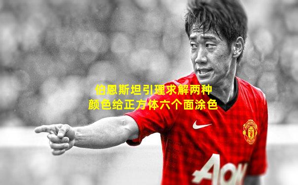 伯恩斯坦引理求解两种颜色给正方体六个面涂色