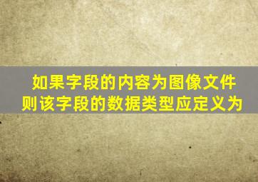 如果字段的内容为图像文件则该字段的数据类型应定义为