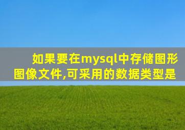 如果要在mysql中存储图形图像文件,可采用的数据类型是