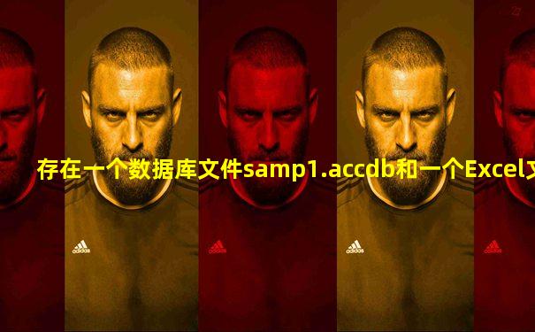 存在一个数据库文件samp1.accdb和一个Excel文件