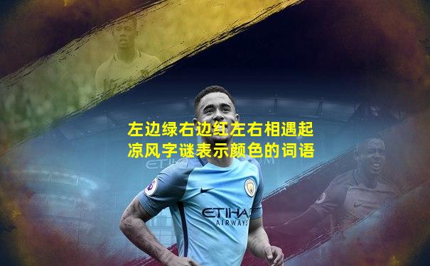 左边绿右边红左右相遇起凉风字谜表示颜色的词语