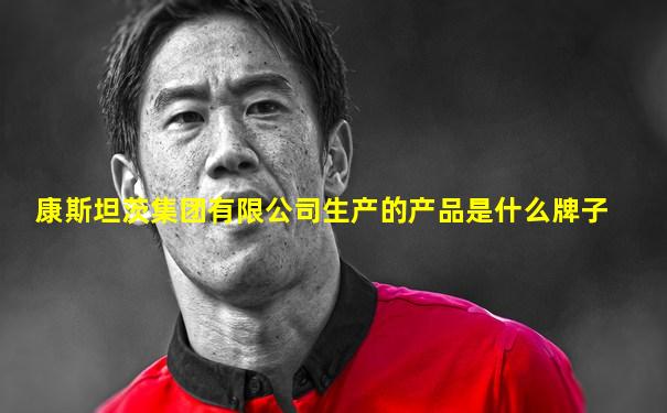 康斯坦茨集团有限公司生产的产品是什么牌子