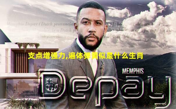支点增强力,遍体弹簧似是什么生肖