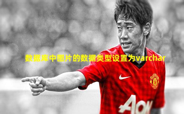 数据库中图片的数据类型设置为varchar