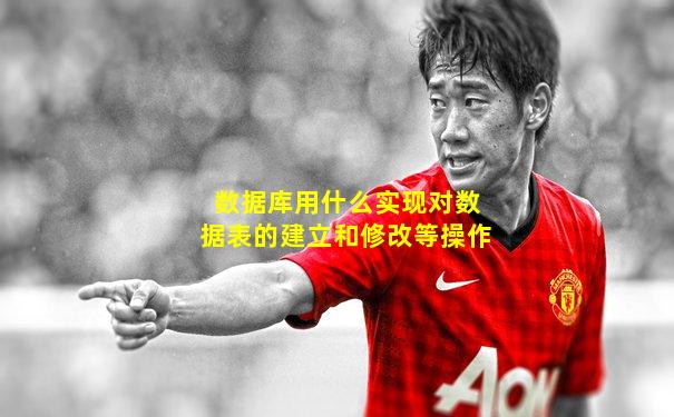 数据库用什么实现对数据表的建立和修改等操作