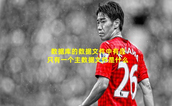 数据库的数据文件中有且只有一个主数据文件是什么