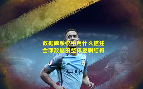 数据库系统中用什么描述全部数据的整体逻辑结构