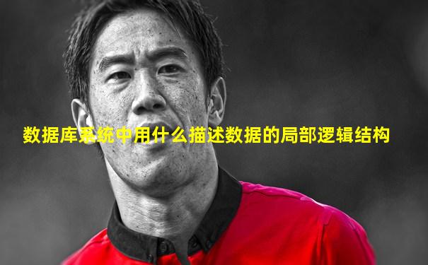 数据库系统中用什么描述数据的局部逻辑结构