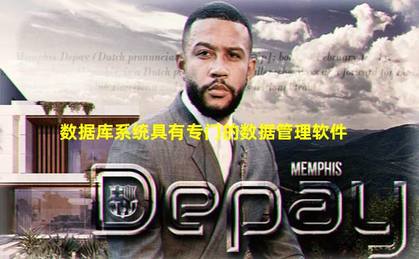 数据库系统具有专门的数据管理软件