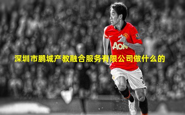 深圳市鹏城产教融合服务有限公司做什么的