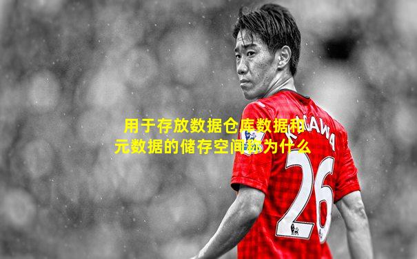 用于存放数据仓库数据和元数据的储存空间称为什么