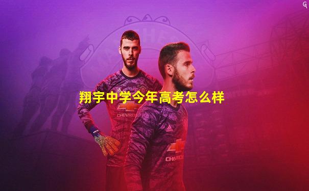 翔宇中学今年高考怎么样