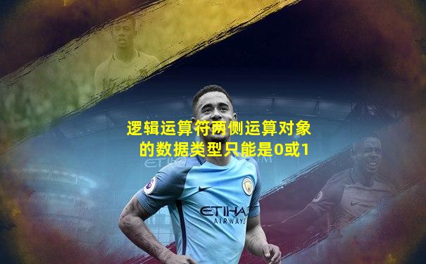 逻辑运算符两侧运算对象的数据类型只能是0或1