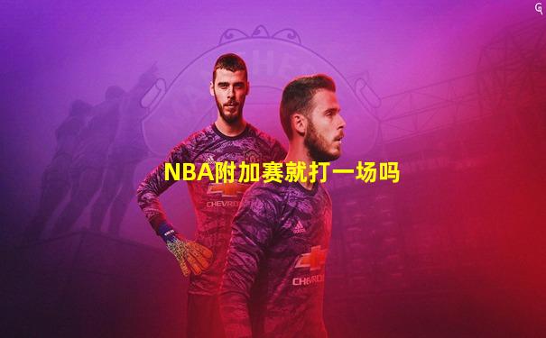 NBA附加赛就打一场吗