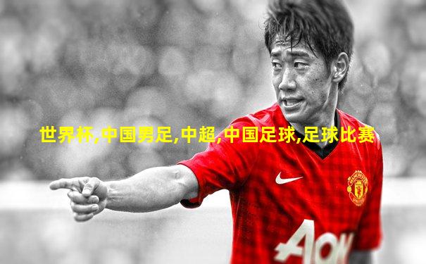 世界杯,中国男足,中超,中国足球,足球比赛