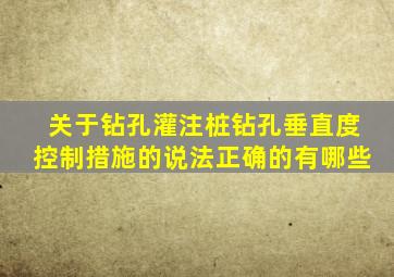 关于钻孔灌注桩钻孔垂直度控制措施的说法正确的有哪些